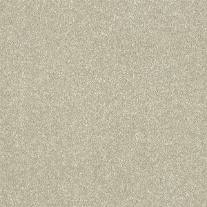 Abingdon Maximus Range at Crawley Carpet Warehouse