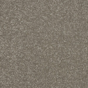 Abingdon Maximus Range at Crawley Carpet Warehouse