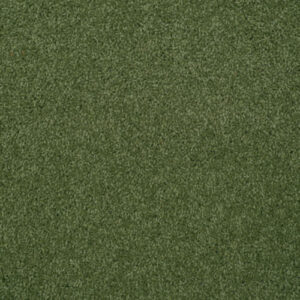 Causeway Carpet City Twist 40oz Fairway 14