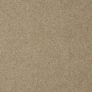 Causeway Carpet City Twist 40oz Grain 01