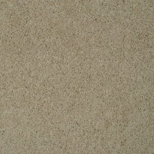 Causeway Carpet City Twist 40oz Magna 06